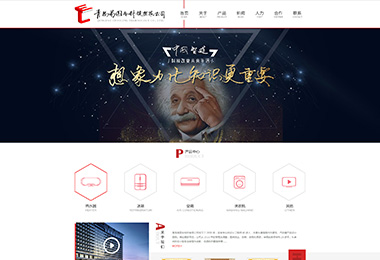 石家莊專業(yè)標志設計_石家莊專業(yè)標志設計公司